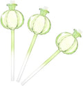 Plant Watering Globes Pomegranates Glass Water Bulbs for Indoor Plant Vacation Watering Self-Watering Stake by Unknown