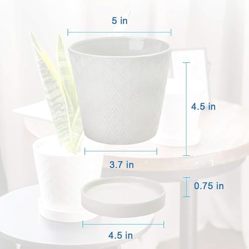 BUYMAX 5in Ceramic Flower Pots Set of 4 Plant Pot with Drainage Hole - Image 5