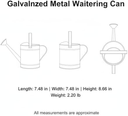 Watering Can - Image 7