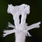 1pcs 4/5/6/8mm Self Watering Cotton Wick Cord Potted Plant Planting Planter Pot Automatic Slow Release, for Garden Drip Irrigation System (Size : 6mmx100m) - Image 4