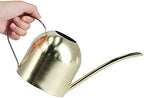 Watering Can Indoor Vintage Stainless Steel Large Capacity 1000ml Watering Kettle Pot Gold for Indoor Gardening and Family Patio Gardening - Image 5