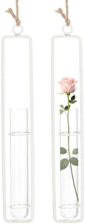 METALLIXITY Hanging Clear Glass Hydroponic Plant Propagation Tube Vase 2Pcs by METALLIXITY