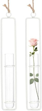 METALLIXITY Hanging Clear Glass Hydroponic Plant Propagation Tube Vase 2Pcs by METALLIXITY
