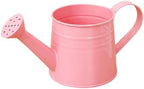 1L Retro Metal Painted Watering Can with Long Spout & Handle - Image 7