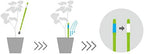 Sustee Aquameter, Set of 5, Plant Soil Moisture Sensor (Green, Medium) - Image 2