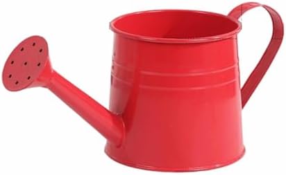 Watering Can Outdoor, 0.3 Gallon Long Spout Small Galvanized Metal Watering Can Outdoor with Handle and Sprinkler Head,Cute Metal Watering Can for Garden House Plants Flower Bonsai Indoor by KELINFONG
