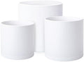 D'vine Dev 3-Pack Plastic Pots & Saucers, 12/14/16 in, White, 74-V-A-7 by DvineDevPlanterPotsandStand