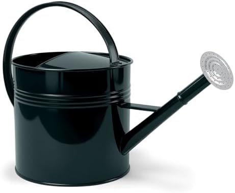 2.5 Gallon Dark Green Metal Watering Can Primary Colors Nozzle for Plants and Garden with Removable Spout, Made of Galvanized Iron by LONGRUNNEW
