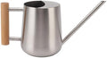 Watering Can Indoor Plants, Stainless Steel Watering Can Pot, Garden Watering Can with Long Spout for Indoor House Plants Bonsai (Stainless Steel Color) by MUNEFE