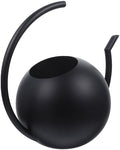 Black Stainless Steel Watering Can, 1l Thin Spout for Plants by ARTIBETTER