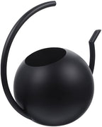 Black Stainless Steel Watering Can, 1l Thin Spout for Plants by ARTIBETTER