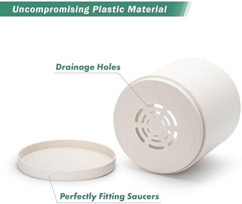 D'vine Dev Plastic Planter Pot with Saucer, 10 in, Oatmeal, 74-X-H-2 - Image 4