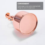 300ml Plant Mister Watering Bottle Stainless Steel Vintage with Pump - Image 3