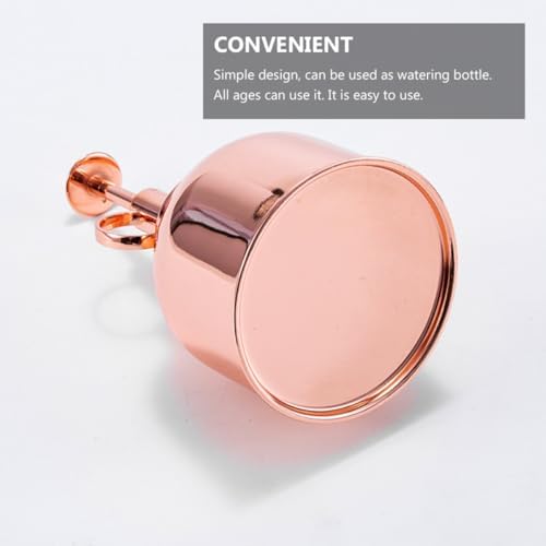 Vintage 300ml Rose Gold Stainless Steel Plant Mister and Succulent Watering Bottle for Indoor Garden Plants with Pump for Precise Mist Watering - Image 3