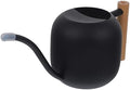 Long Spout Metal Watering Can with Wooden Handle Ergonomic Design for Indoor Plants Flowers Succulents Sturdy Precise Watering Tool for by BEBEMOKO