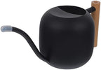 Long Spout Metal Watering Can with Wooden Handle Ergonomic Design for Indoor Plants Flowers Succulents Sturdy Precise Watering Tool for by BEBEMOKO
