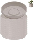 Bloem Terra Plastic Saucer Tray for 6" Terra Planter, Vanilla Bean, 10-Pack by Bloem