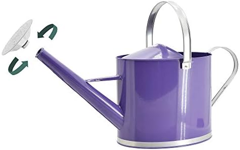 Arcadia Garden Products WC18 Chic Watering Can, Indoor and Outdoor, Easy Pour, Gift, 1.8 gal, Purple - Image 4