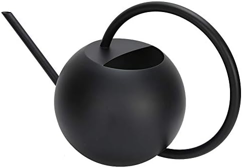 Stainless Steel Watering Can Long Mouth Practical 1L Capacity Garden Watering Pot for Indoor Outdoor Plants Houseplant Flowers Black 12.2x7.1x5.5in - Image 5
