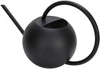 Stainless Steel Watering Can Long Mouth Practical 1L Capacity Garden Watering Pot for Indoor Outdoor Plants Houseplant Flowers Black 12.2x7.1x5.5in - Image 5
