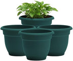 Bloem Ariana 8" Plastic Self-Watering Planter, Charleston Green, 4-Pack by Bloem