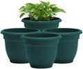 Bloem Ariana 10" Plastic Self-Watering Planter, Charleston Green, 4-Pack by Bloem