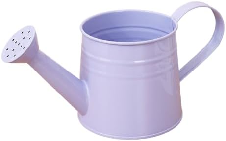 1L Retro Metal Painted Watering Can with Long Spout & Handle Flower Plant by Unknown
