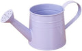 1L Retro Metal Painted Watering Can with Long Spout & Handle by Unknown