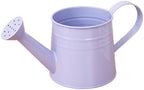 1L Retro Metal Painted Watering Can with Long Spout & Handle by Unknown