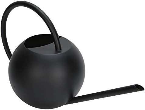 1L Stainless Steel Watering Can with Long Spout for Indoor Plants - Image 5