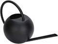 1L Stainless Steel Watering Can with Long Spout for Indoor Plants by Eacam