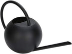 Aramox 1L Stainless Steel Watering Can Long Spout Ergonomic Handle with Precision Watering for Indoor Plants Garden Houseplant by Aramox