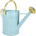 Gold Galvanized Iron Watering Can for Indoor Plants, DIY Watering Cans for House Plant Garden Flower, Long Spout Water Can for Outdoor Watering Plants 6.44L 1.7 Gallon (Blue) by Longrun