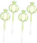 Cactus Shape Glass Watering Globe 4pcs Automatic Hydration by Parliky