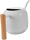Stainless Steel Watering Can with Handle Vintage Design for Indoor and Outdoor Use Capacity and Comfortable for Plants and Gardens by NULYLU