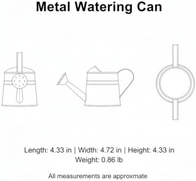 Metal Watering Can, 1 Liter Iron Vessel for Indoor Plants and Houseplants (1 PC) - Image 7