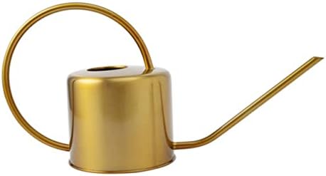Watering Can Stainless Steel with Long Spout, 1300ml Garden Pot by BESPORTBLE