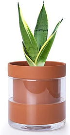 Phoenix Vine 6 Inch Self Watering Planter Pot, Terracotta Clay Pot with Glass Reservoir for Indoor Plants, Herbs, Flowers, Set of 1, 52-A-F-1 by Phoenix+Vine