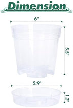 6 Inch Clear Plastic Plant Pot with Drainage Holes, Interlocking & Detachable Tray - Deep Saucer - Durable BPA-Free Plastic, Transparent Design, Raised Base for Airflow, Set of 12, 92-X-B-5 - Image 4