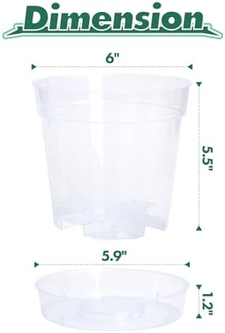 6 Inch Clear Plastic Plant Pot with Drainage Holes, Interlocking & Detachable Tray - Deep Saucer - Durable BPA-Free Plastic, Transparent Design, Raised Base for Airflow, Set of 12, 92-X-B-5 - Image 4