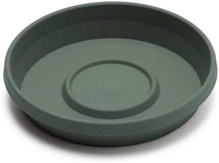 Bloem Terra 16" Round Plastic Plant Saucer, Lightweight UV-Resistant Indoor/Outdoor Flower Pot Tray - Fits 16-inch Planter Pots, Basil, 2-Pack - Image 3