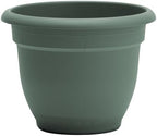 Bloem Ariana 16" Plastic Self-Watering Planter, Basil, 2-Pack - Image 7