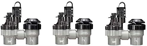 Rain Bird DASASVF075 Professional Grade Anti-Siphon Valve with Flow Control, 3/4" Threaded Female x Female (Pack of 3) by RainBird