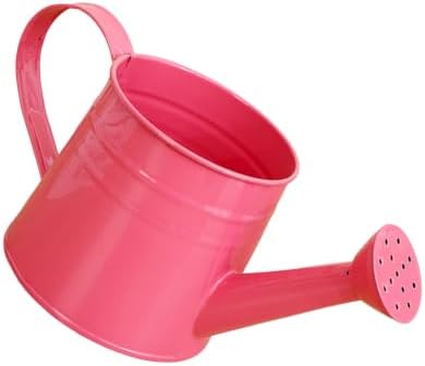 1L Retro Metal Painted Watering Can with Long Spout & Handle - Image 2