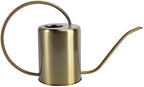Stainless Steel Watering Kettle 2000ml Golden for Gardening Home by LIOOBO