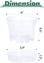 6 Inch Clear Plastic Plant Pot with Drainage Holes, Interlocking & Detachable Tray - Deep Saucer - Durable BPA-Free Plastic, Transparent Design, Raised Base for Airflow, Set of 24, 92-X-C-4 - Image 4