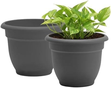 Bloem Ariana 16" Plastic Self-Watering Planter, Charcoal, 2-Pack by Bloem