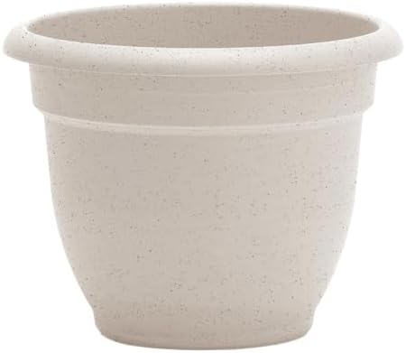 Bloem Ariana 12" Plastic Self-Watering Planter, Vanilla Bean, 2-Pack - Image 7