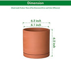 D'vine Dev 2-Pack Terracotta Plant Pots with Saucers, 6 Inch, 40-X-B-3 - Image 3