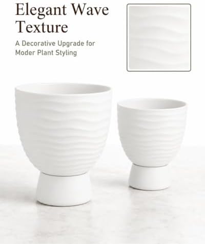 White Terracotta Self Watering Plant Pots, 6 and 8 Inch with Saucers - Image 3